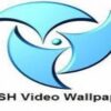 PUSH Video Wallpaper License Key 5.1 với Crack tải xuống