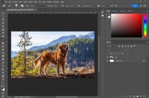 Download Adobe Photoshop Beta Full Version Gratis - KuyhAa