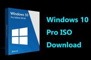 Download Windows 10 Pro 22H2 64 bit /32 bit ISO Terbaru [Month-Year]