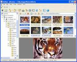 Download XnView 2.52.2 Full Version Terbaru - Kuyhaa