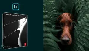 Adobe Photoshop Lightroom CC 2026 v15.4 Full Version Terbaru - KuyhAa
