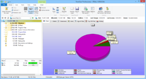 Download TreeSize 9.8.0.2301 Free for Windows + Portable - KuyhAa
